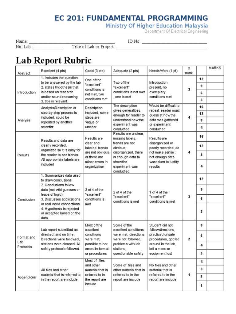 rubric lab report fundamental programming | Experiment | Science And ...