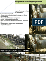 Goat Farming