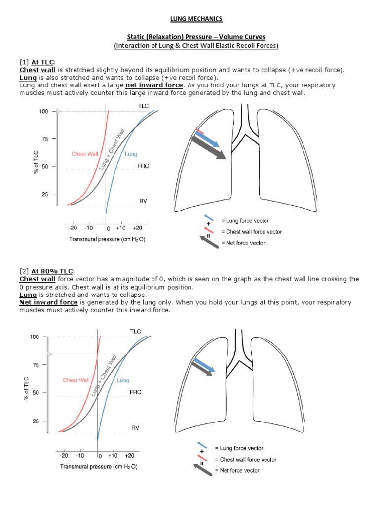 (Interaction of Lung & Chest Wall Elastic Recoil Forces) Static
