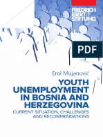 Youth Unemployment in BiH: Current Situation and Challenges