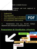 Molecular Identification of Bacteria IIII 2015