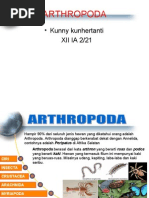 Download Arthropod A by unniekhun SN29398601 doc pdf