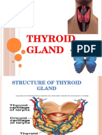 Thyroid Gland