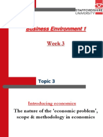 Business Environment 1: Week 3