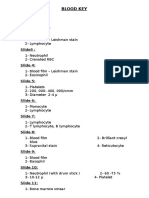 6 - Blood Data Show (Model Answer)