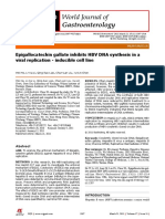 Epigallocatechin Gallate Inhibits HBV DNA Synthesis in A Viral Replication - Inducible Cell Line