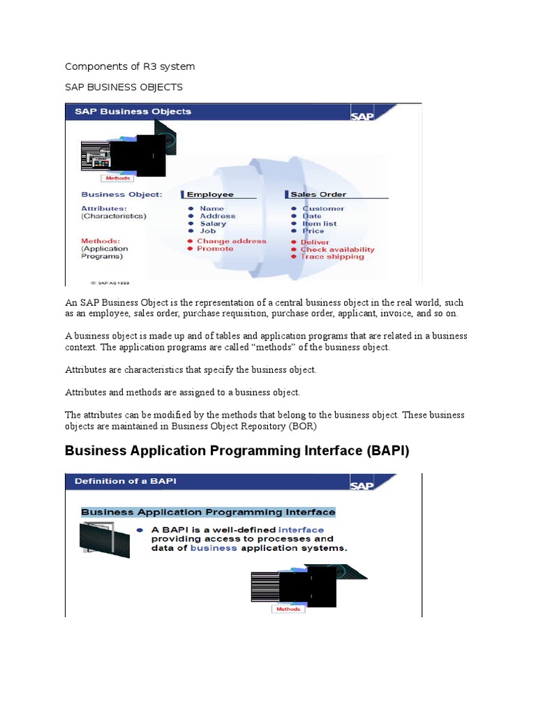 Business Application Programming Interface (BAPI) : Components of R3 ...