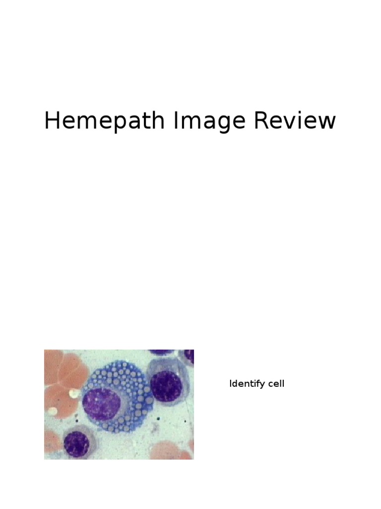 Hemepath Image Review | PDF