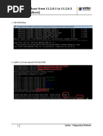 Upgrade Database From 11.2.0.1 To 11.2.0.3 (IDM DEV Database)