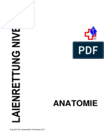 02 Anatomie N2-11