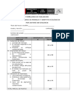 Ficha de Evaluacion para Graffiti