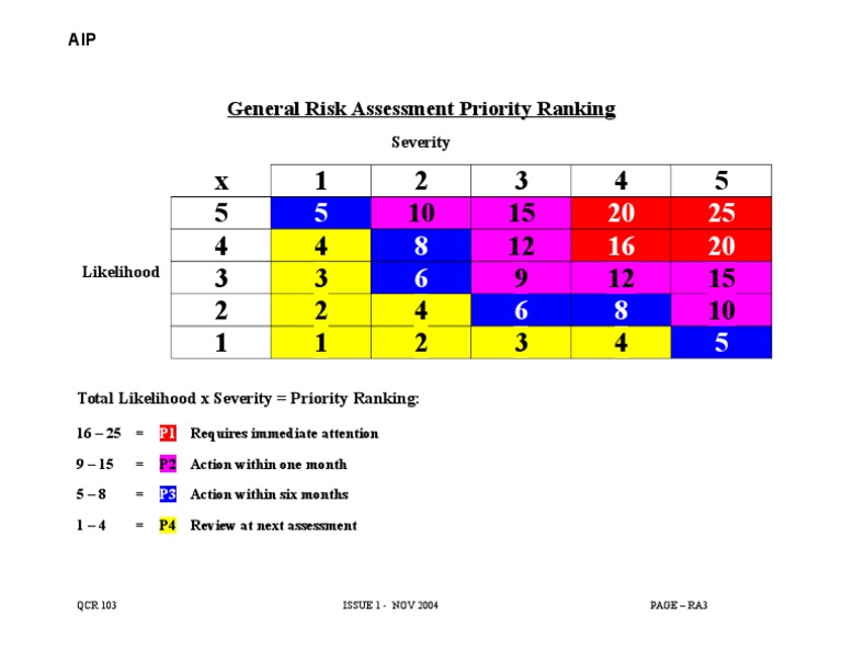 Risk Assessment Priority Guide | PDF