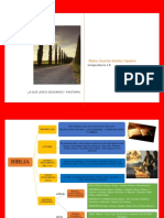 Pastoral Organizador Gráfico PDF