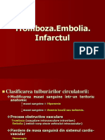 Lp2 tromb embol infarct.pdf