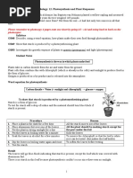 Exploring Photosynthesis And Plant Pigments Lab Report Pdf Photosynthesis Experiment