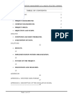 Executive Summary 2 Background 3: Project Background. Company Background. Project Roles. Objectives and Scope