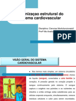 Aula 02 Organizaçao Estrutural Cardiaca