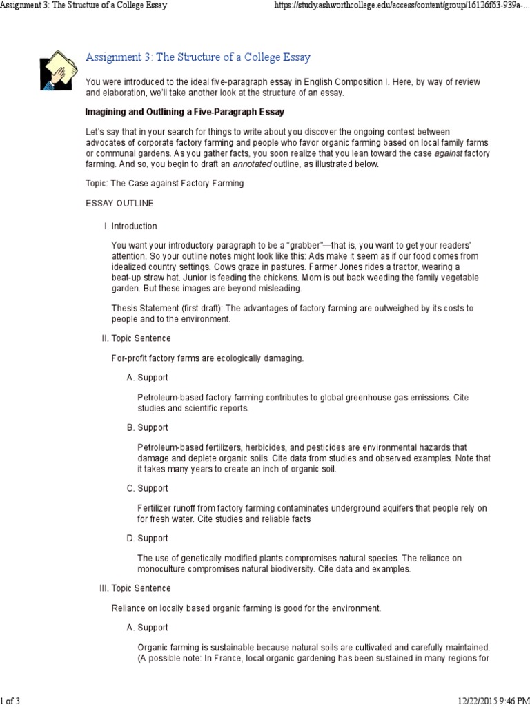 Assignment essay writing image