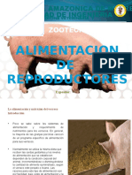 Exposicion de Porcino