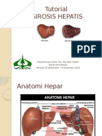 Sirosis Hepatis