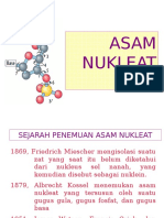 Asam Nukleat