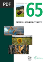 Download Biofuels and Biodiversity by gotcan SN294097726 doc pdf