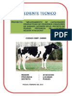 Expediente Tecnico Puquio 248988 Ganado Lechero PDF