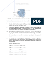 Simulado de Revisao Do Sistema Cardiovascular