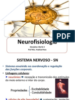Aula 03 Neurofisiologia