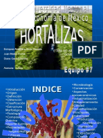 INFORMACION DE HORTALIZAS