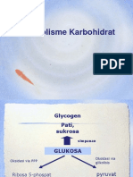 Metabolisme KARBOHIDRAT