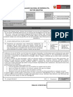 8.0 - Prosemer - Cuestionario - Sector Industria (v7)