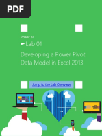 Lab 01 Developing A Power Pivot Data Model in Excel 2013