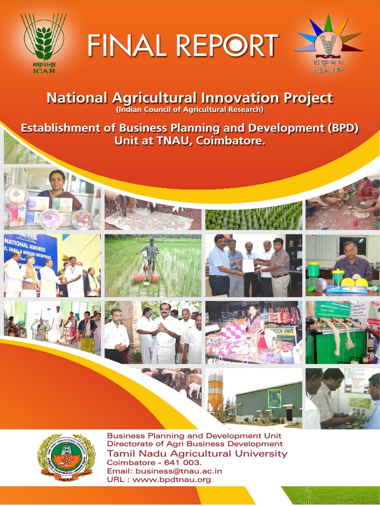 Agriculture Innovation Project | PDF | Vegetables | Rice