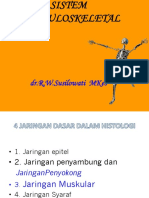 2.1. Jaringan Tulang & Tulang Rawan