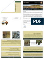 MESA VERDE_LR_EA_Newsletter_1_print_508.pdf