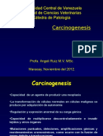 Carcinogenesis