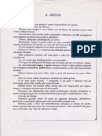 Aguia PDF