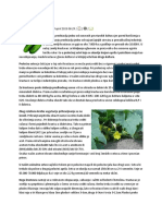 Krastavac PDF