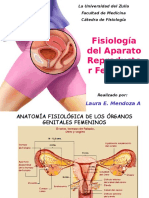 Modulo IV. Femenino