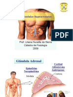 MODULO IV. Corteza Suprarrenal