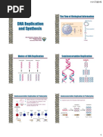 Gene Lecture 10 Replication