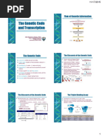 Gene Lecture 11 Transcription