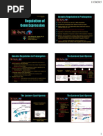 Gene-Lecture 14-Regulation of Gene Expression