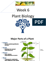 stem of growing food week 6