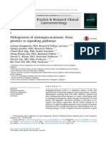 Cholangiocarcinoma Journal