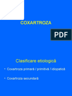 Coxartroza