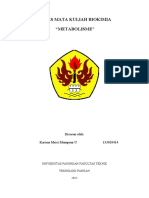 Makalah Metabolisme Karima 133020414 Kelas Karyawan