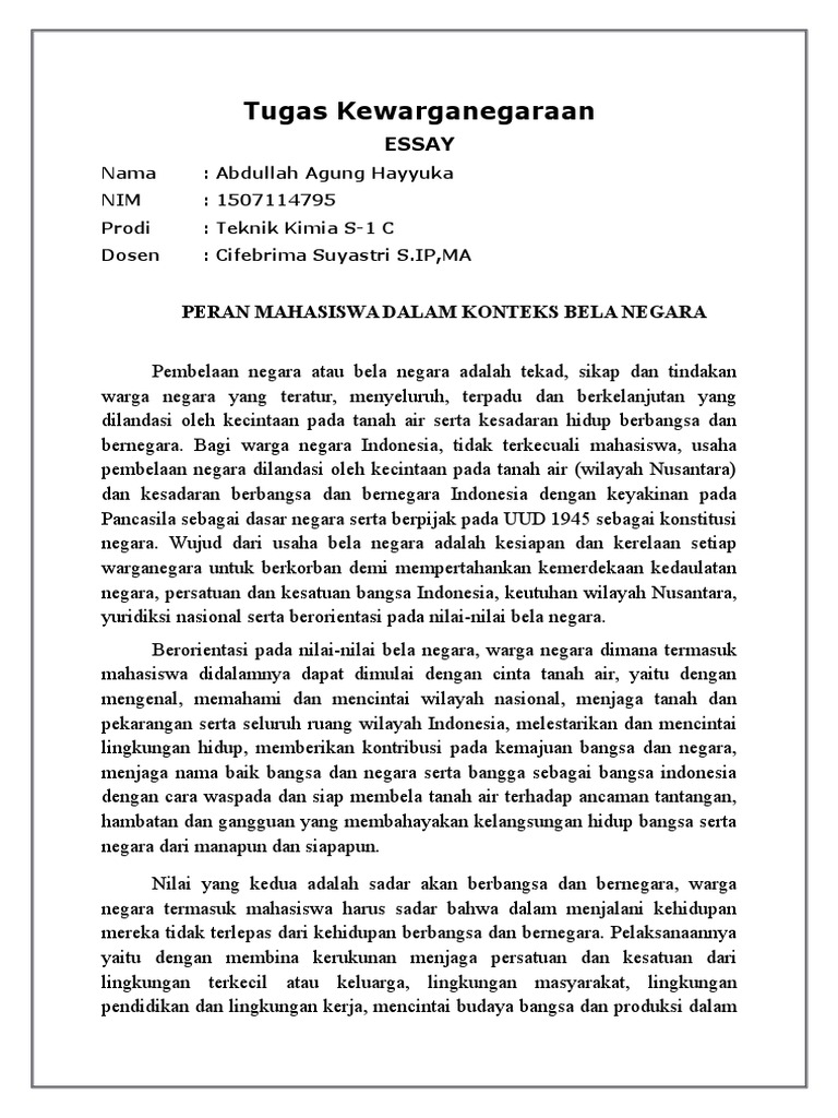 Essay Bela Negara