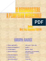 12337368-GHID-DE-RECUNOASTERE-A-PLANTELOR-MEDICINALE.pps
